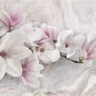 Miniatura fototapety Magnolie w Delikatnych Różach