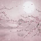 Miniatura fototapety Kwitnąca Sakura z Księżycem