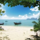 Miniatura fototapety Plaża z łodziami i palmami