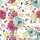 Miniatura fototapety Kolorowe Piwonie na Białym Tle