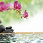 Miniatura fototapety Storczyki nad wodą z bambusem