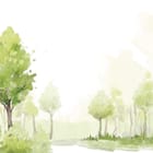 Miniatura fototapety Drzewa akwarelowe w lesie