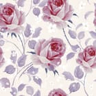 Miniatura fototapety Różowe róże na jasnym tle