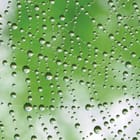 Miniatura fototapety Pajęczyna z kroplami wody