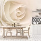 Miniatura fototapety Biała róża z kroplami wody we wnętrzu kuchni