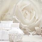 Miniatura fototapety Biała róża z kroplami wody we wnętrzu sypialni