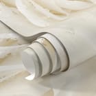 Miniatura fototapety Biała róża z kroplami wody fragment #1