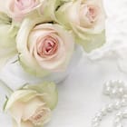 Miniatura fototapety Bukiet różowych róż w wazonie