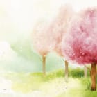 Miniatura fototapety Różowe drzewa i zielona trawa