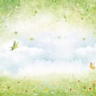 Miniatura fototapety Zielony las z kwiatami i niebem