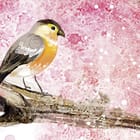 Miniatura fototapety Domek dla ptaków na gałęzi fragment #1