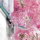 Miniatura fototapety Domek dla ptaków na gałęzi fragment #2