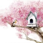 Miniatura fototapety Domek dla ptaków na gałęzi