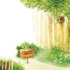 Miniatura fototapety Leśna scena z drewnianym płotem