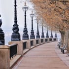 Miniatura fototapety Alejka z latarniami i drzewami