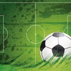 Miniatura fototapety Piłka nożna na zielonym tle