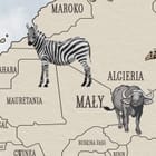 Miniatura fototapety Mapa świata z ilustracjami zwierząt - realne zdjęcie w rolce