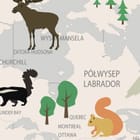 Miniatura fototapety Mapa świata z fauną i florą - realne zdjęcie w rolce