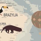 Miniatura fototapety Mapa świata z ilustracjami zwierząt - realne zdjęcie w rolce