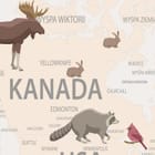 Miniatura fototapety Ilustrowana mapa świata z balonami - jakość wydruku i struktura materiału