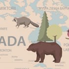 Miniatura fototapety Mapa świata z ilustracjami zwierząt - realne zdjęcie w rolce