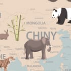 Miniatura fototapety Mapa świata z ilustracjami zwierząt - jakość wydruku i struktura materiału