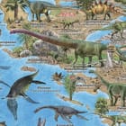 Miniatura fototapety Mapa Dinozaurów dla Dzieci - jakość wydruku i struktura materiału