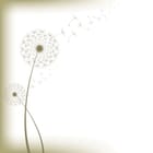 Miniatura fototapety Dmuchawce na jasnym tle