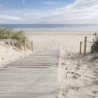 Miniatura fototapety Ścieżka na plaży przy morzu