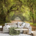 Miniatura fototapety Leśne gęstwiny i piaszczysta droga we wnętrzu salonu