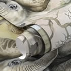Miniatura fototapety Słonik i zebra na sawannie - realne zdjęcie w rolce