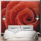 Miniatura fototapety Czerwone róże z kroplami wody we wnętrzu sypialni