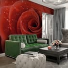 Miniatura fototapety Czerwone róże z kroplami wody we wnętrzu salonu