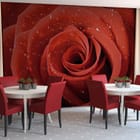 Miniatura fototapety Czerwone róże z kroplami wody we wnętrzu kawiarni