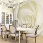 Miniatura fototapety Zbliżenie na Białą Różę we wnętrzu kuchni