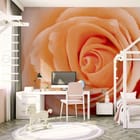 Miniatura fototapety Zbliżenie delikatnej róży we wnętrzu pokoju nastolatka