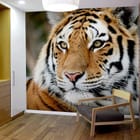 Miniatura fototapety Tygrysie spojrzenie w detalu we wnętrzu przedpokoju