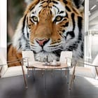 Miniatura fototapety Tygrysie spojrzenie w detalu we wnętrzu biura