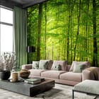 Miniatura fototapety Las o świcie z promieniami słońca we wnętrzu salonu