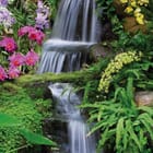 Miniatura fototapety Tropikalny Ogród z Wodospadem