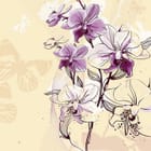 Miniatura fototapety Fioletowe orchidee na łodydze