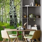 Miniatura fototapety Ścieżka wśród brzozowych drzew we wnętrzu kuchni