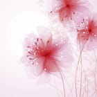 Miniatura fototapety Czerwone Kwiaty na Jasnym Tle