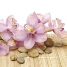 Miniatura fototapety Fioletowe orchidee na macie