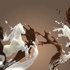 Miniatura fototapety Konie z mleka i czekolady