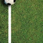 Miniatura fototapety Piłka nożna na zielonej murawie