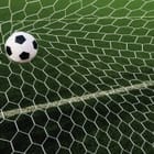 Miniatura fototapety Piłka w siatce na murawie