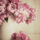 Miniatura fototapety Bukiet Piwonii w Ceramicznym Wazonie