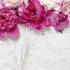 Miniatura fototapety Piwonie na bielonym drewnie