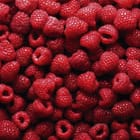 Miniatura fototapety Stos świeżych malin w czerwieni